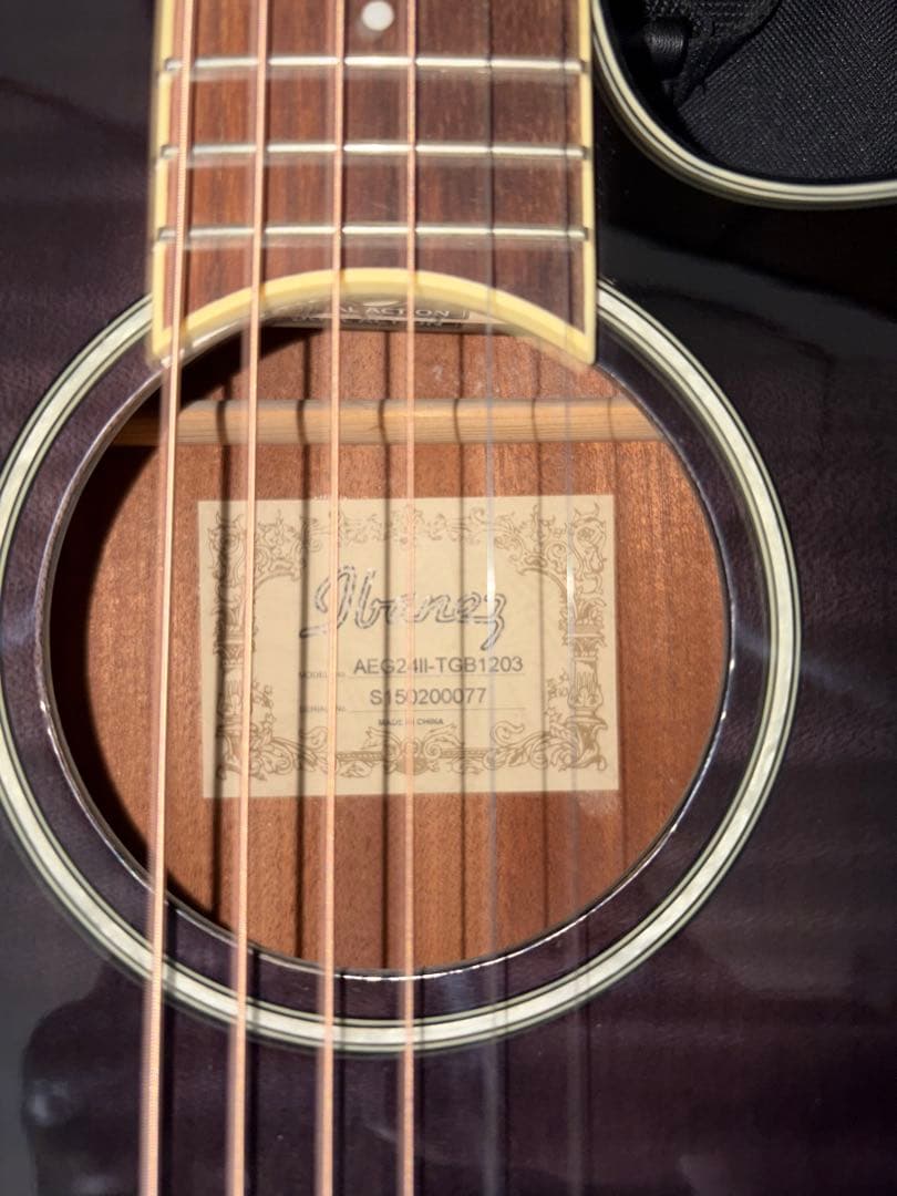 Ibanez AEG24ⅡTGB