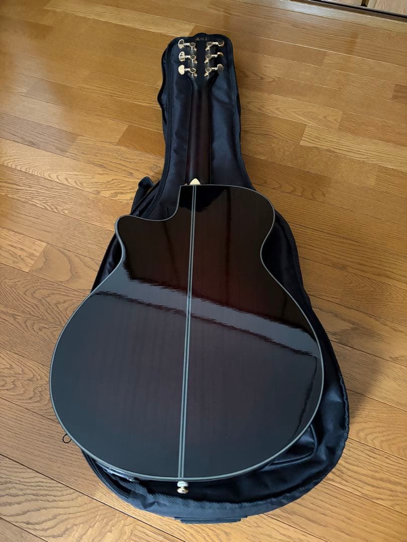 Ibanez AEG24ⅡTGB