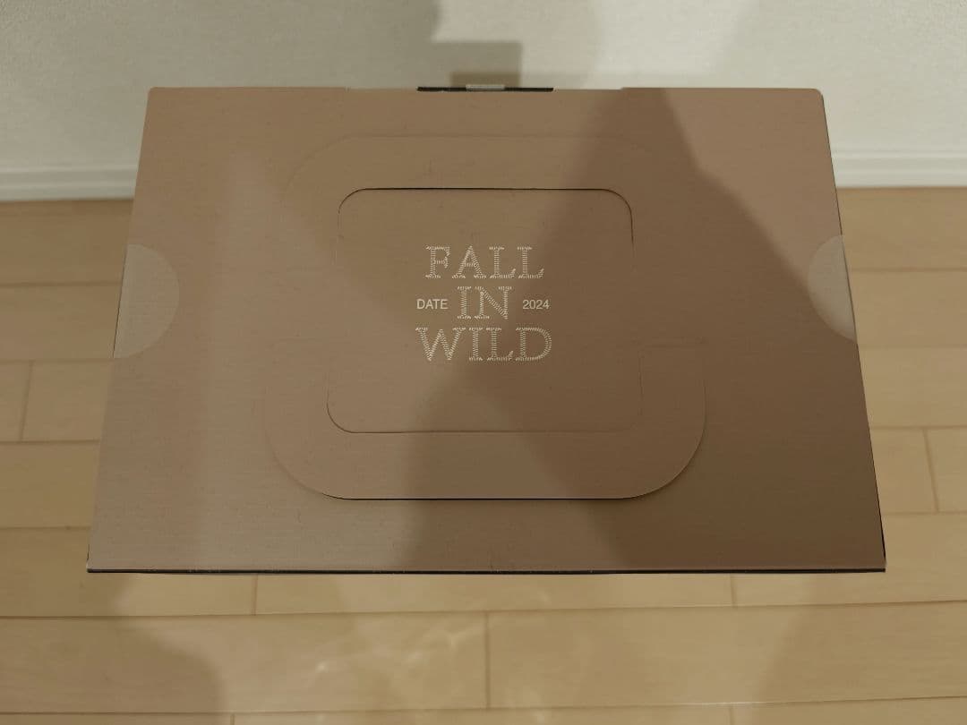 ラブブ FALL IN WILD POP MART