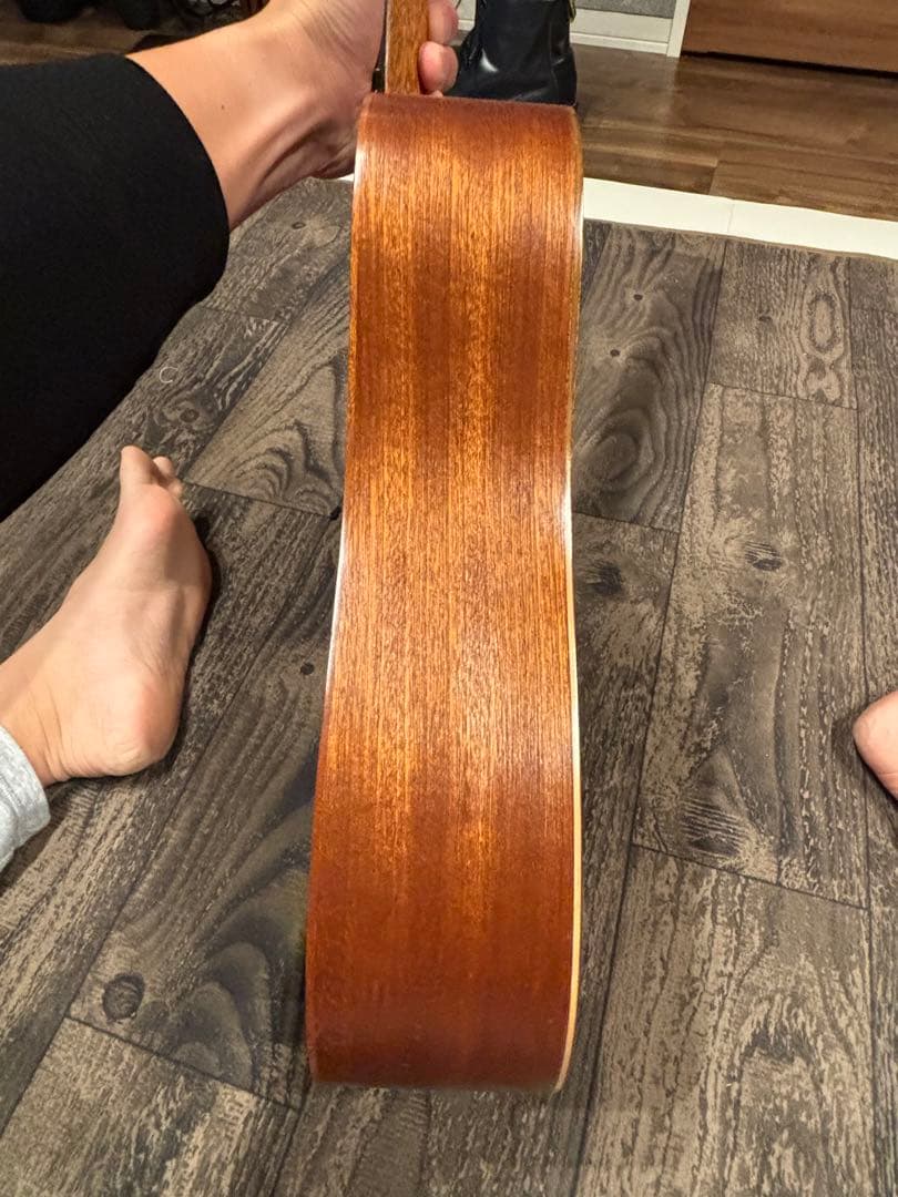 Baby BT2 アコースティックギター　Baby Mahogany (BT2)