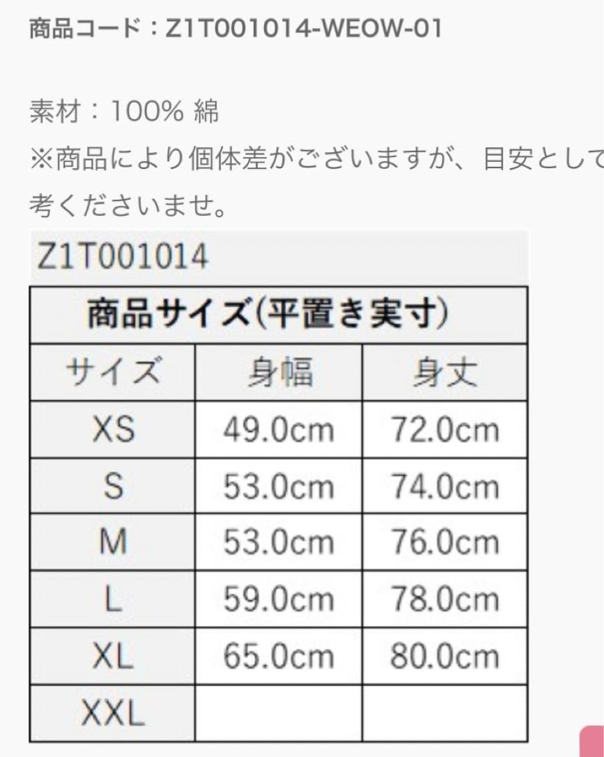 ズンバ　ZINCON25 シャツ　L
