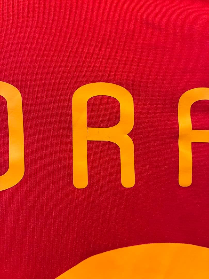 トーレス　スペイン代表　2010 ユニフォーム