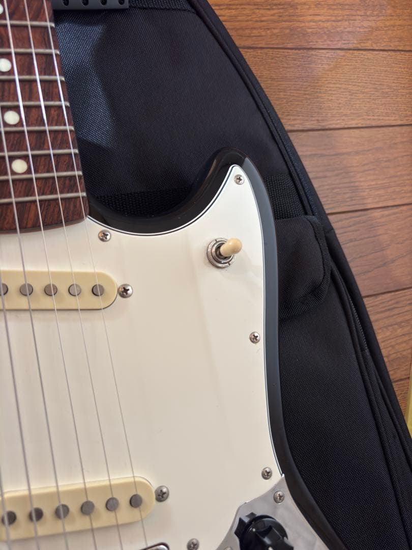 FUJIGEN エレキギター　日本製　CNCY10RAL-3TS フジゲン