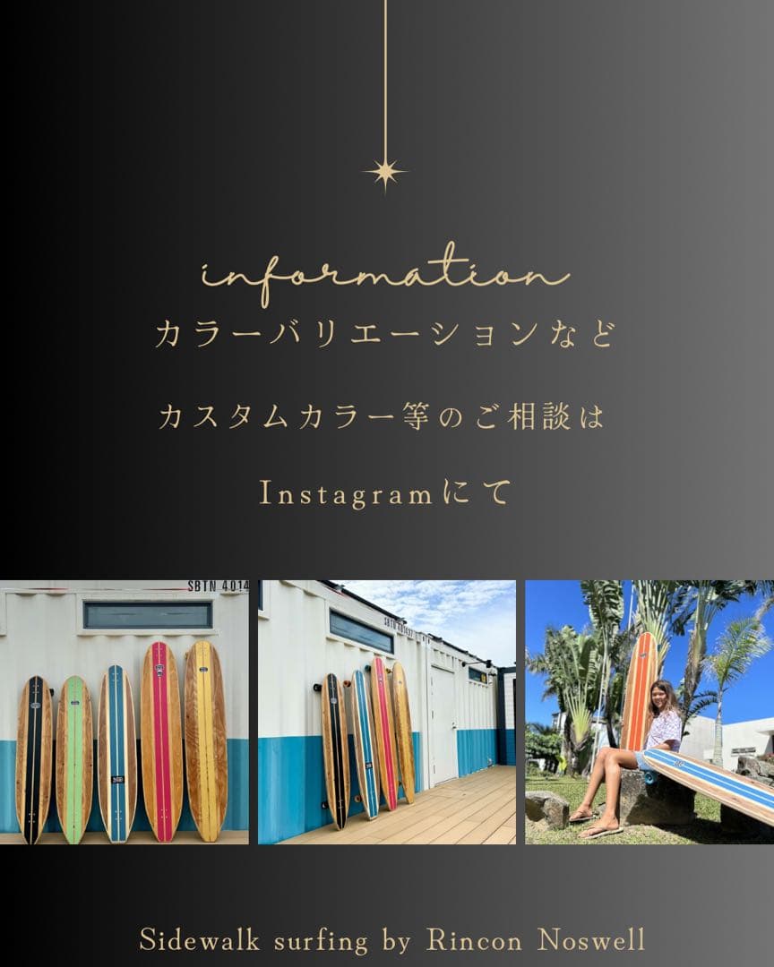 ロングスケートボード　Rincon Noswell