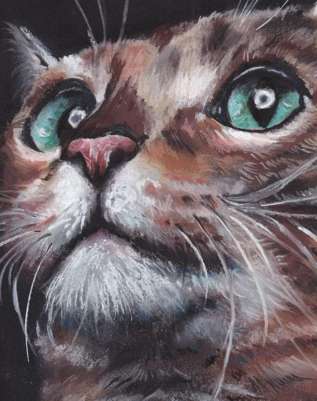 イラスト原画　見上げる表情がとても可愛らしい「猫の関心事」