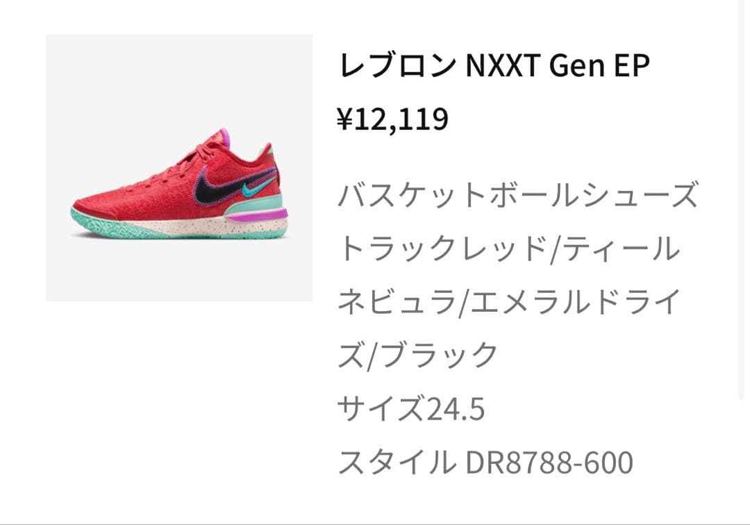 nike レブロン NXXT GEN EP 24.5