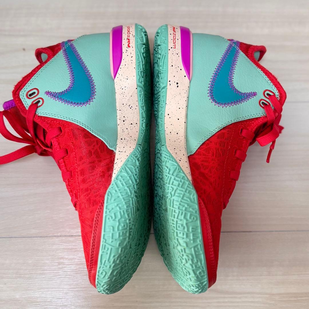 nike レブロン NXXT GEN EP 24.5