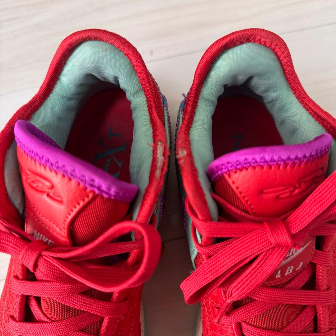 nike レブロン NXXT GEN EP 24.5
