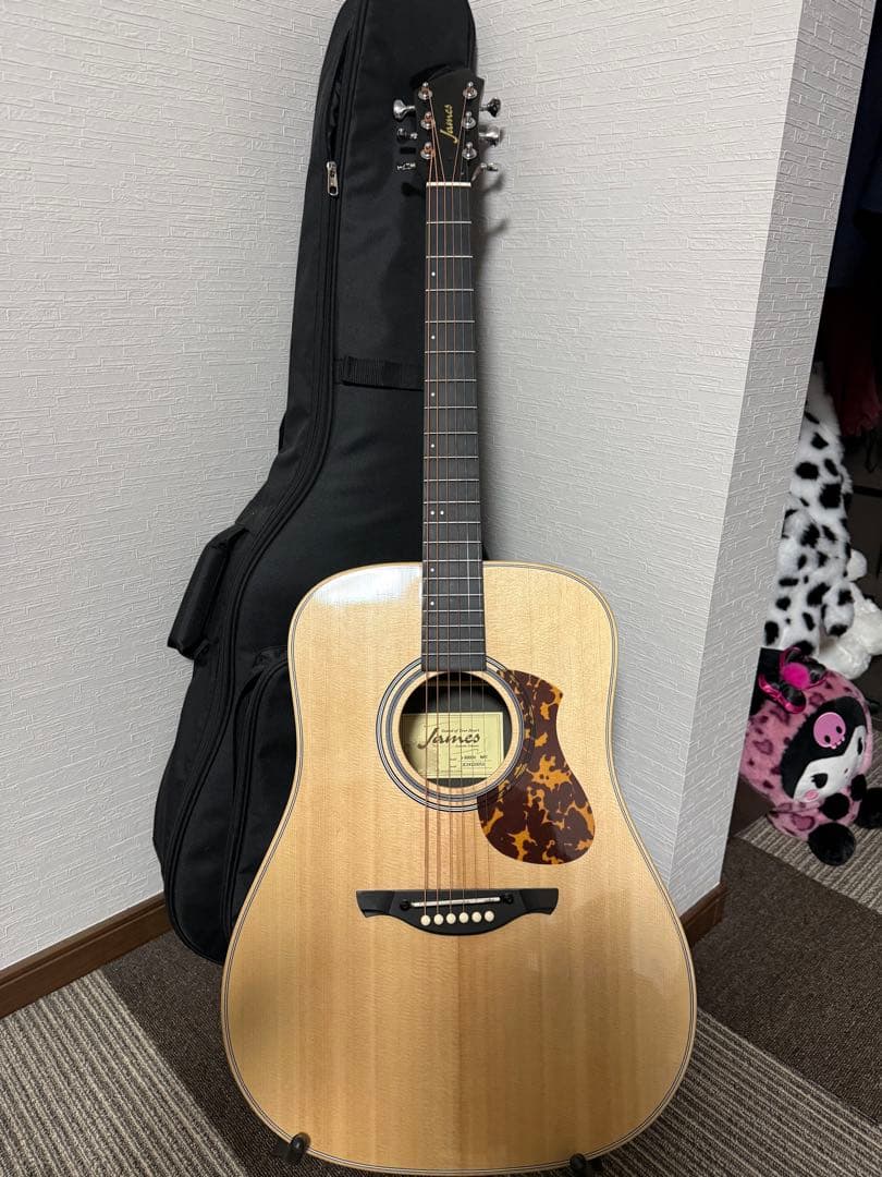 James アコースティックギター ギターケース付き