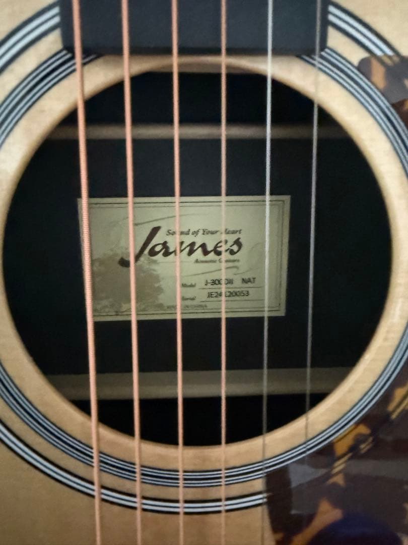 James アコースティックギター ギターケース付き