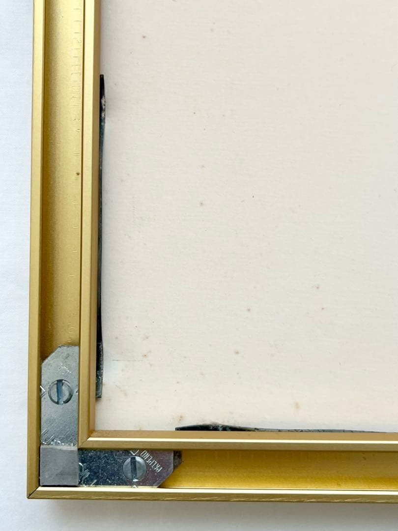 グラシエラ・ロド・ブーランジェ「子供と鳥」 リトグラフ ニールセン額 希少品