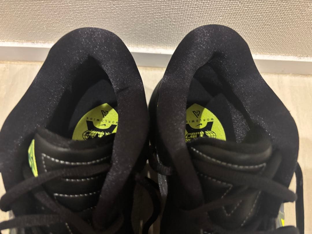 Nike Giannis Freak 6 ヤニス フリーク 6 EP 27cm