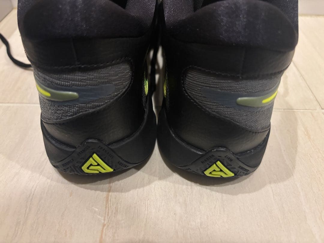Nike Giannis Freak 6 ヤニス フリーク 6 EP 27cm