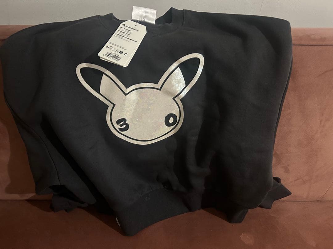 ポケモン　30周年　EUIC