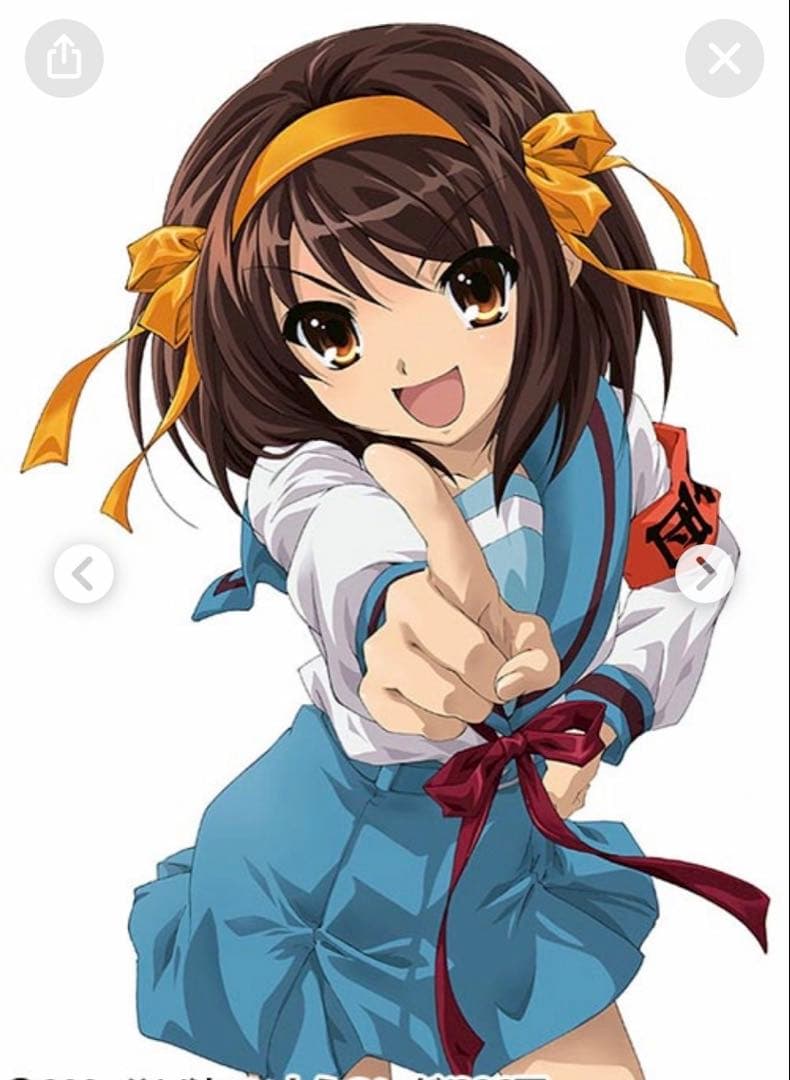 桜子ページ ウィッグオーダー