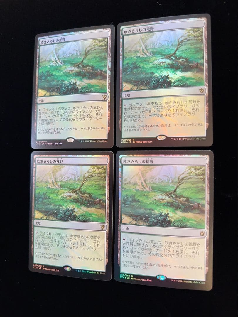 【foil】吹きさらしの荒野　日本語　4枚セット