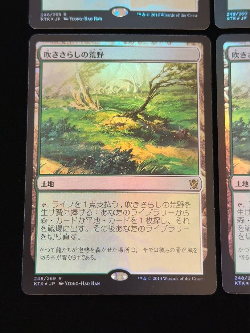 【foil】吹きさらしの荒野　日本語　4枚セット