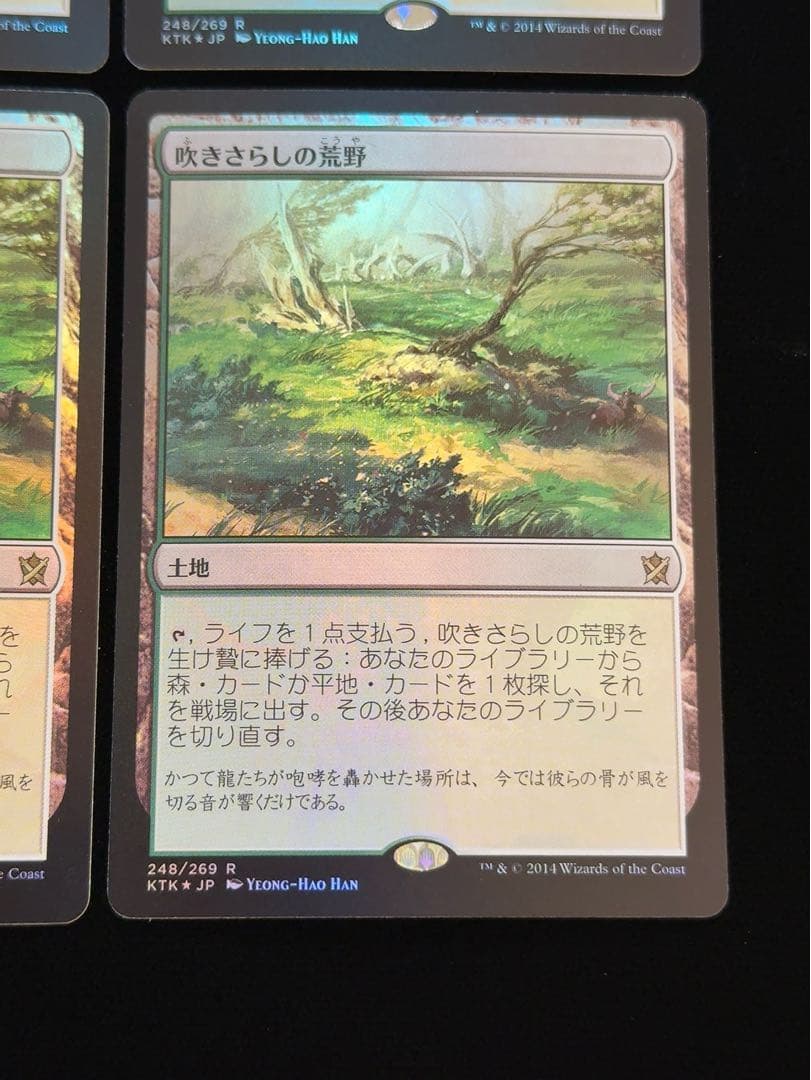 【foil】吹きさらしの荒野　日本語　4枚セット