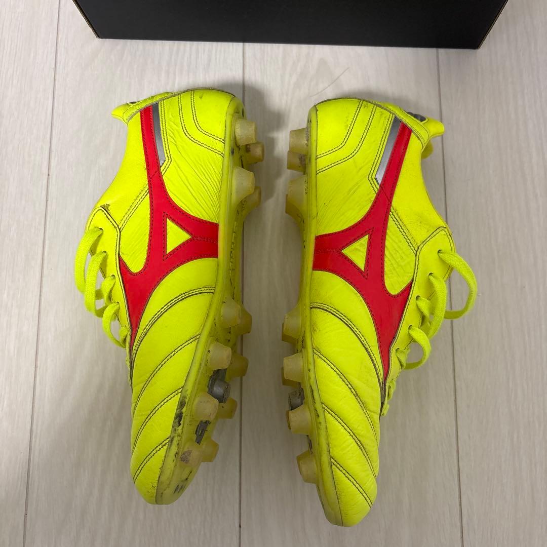 限定色Morelia II