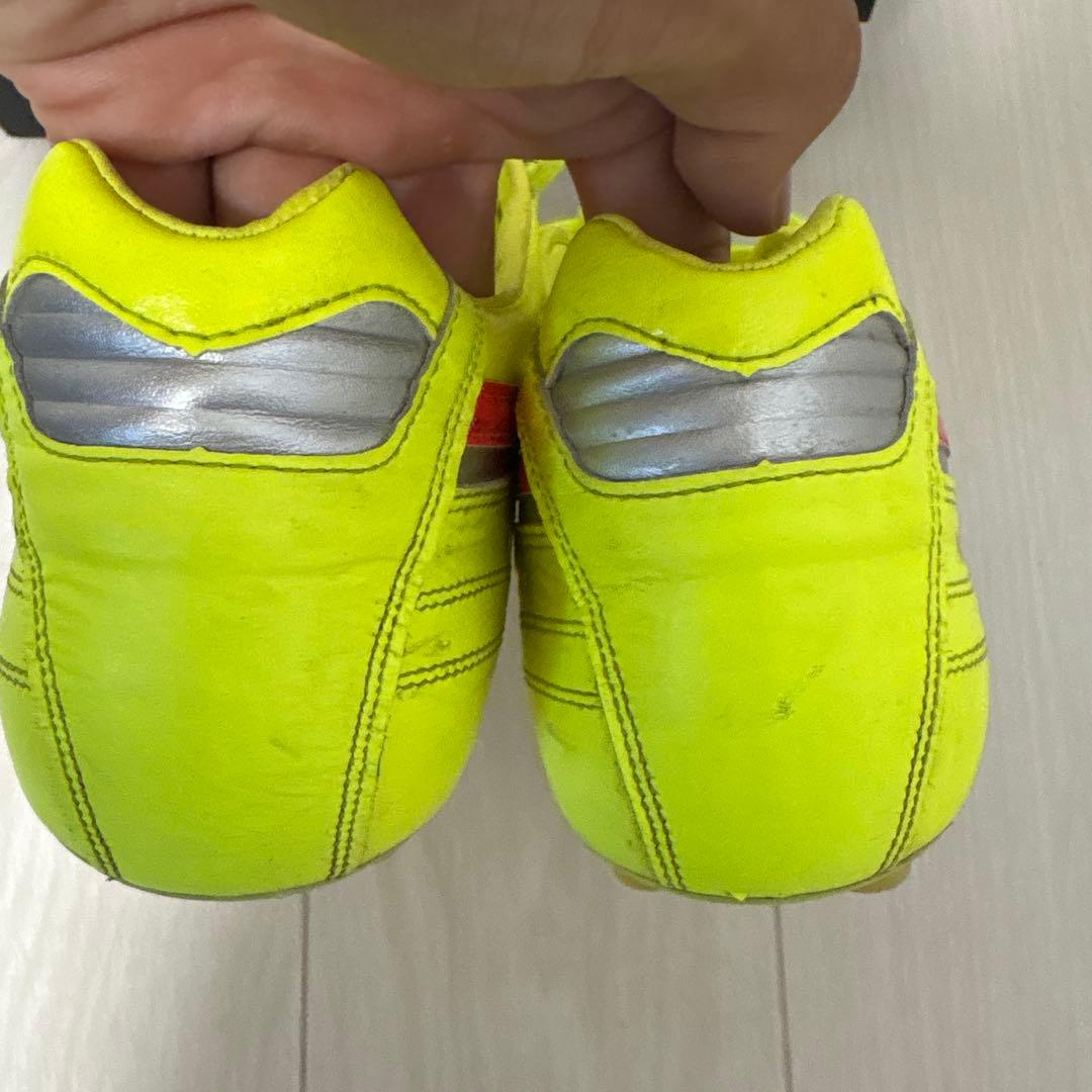 限定色Morelia II
