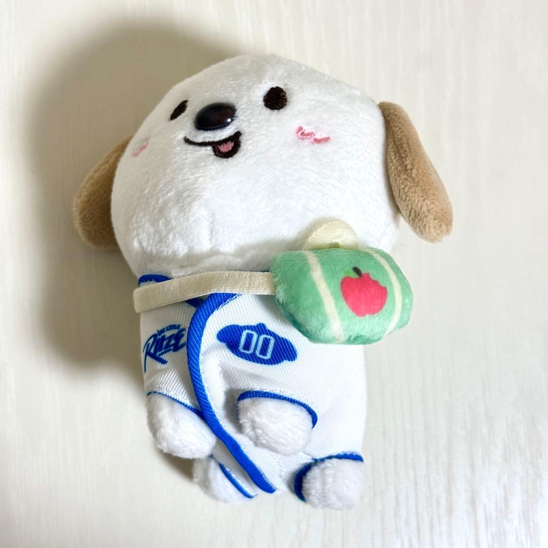 RIIZE アントン LITTLE RIIZE KEY RING モンリョンイ