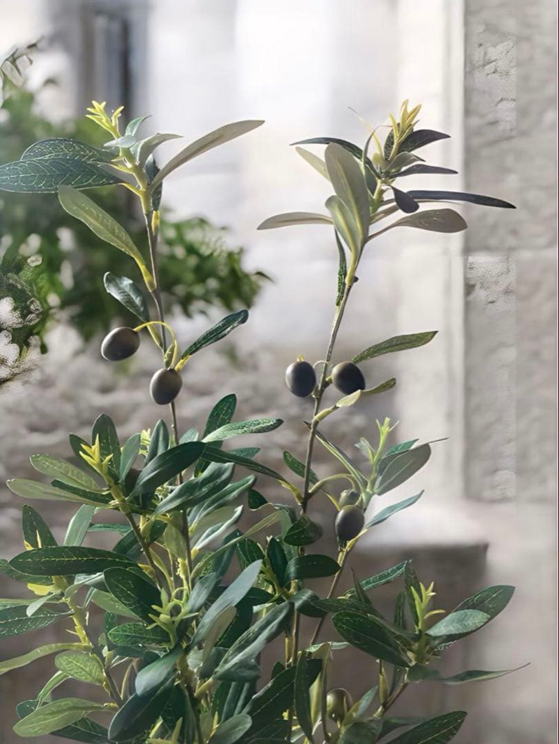 光触媒　人工観葉植物　ウォールグリーン　フェイクグリーン　オリーブとバロック58