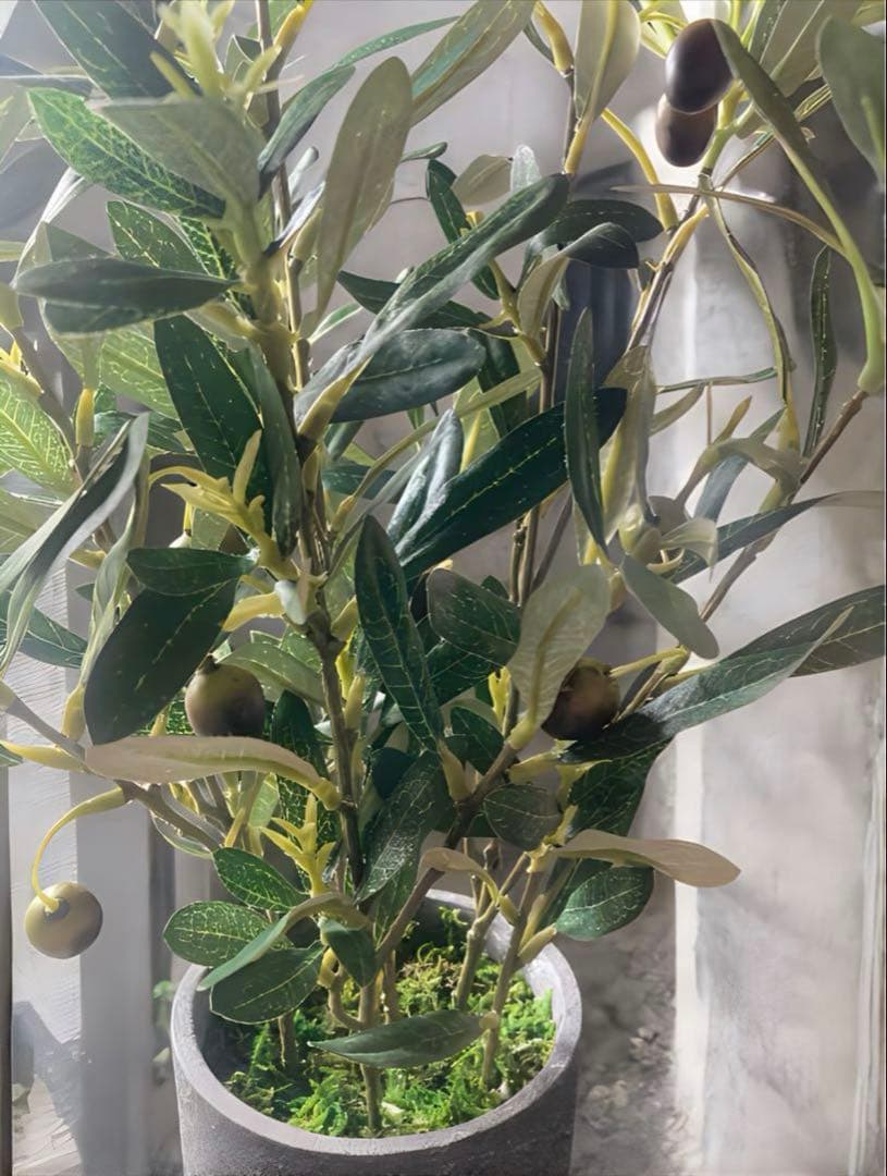 光触媒　人工観葉植物　ウォールグリーン　フェイクグリーン　オリーブとバロック58