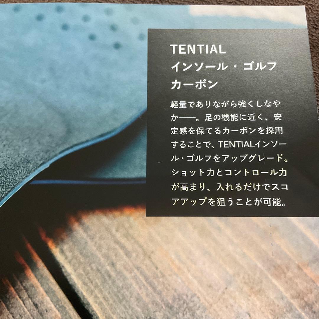 TENTIAL インソール Mサイズ ゴルフ　カーボン