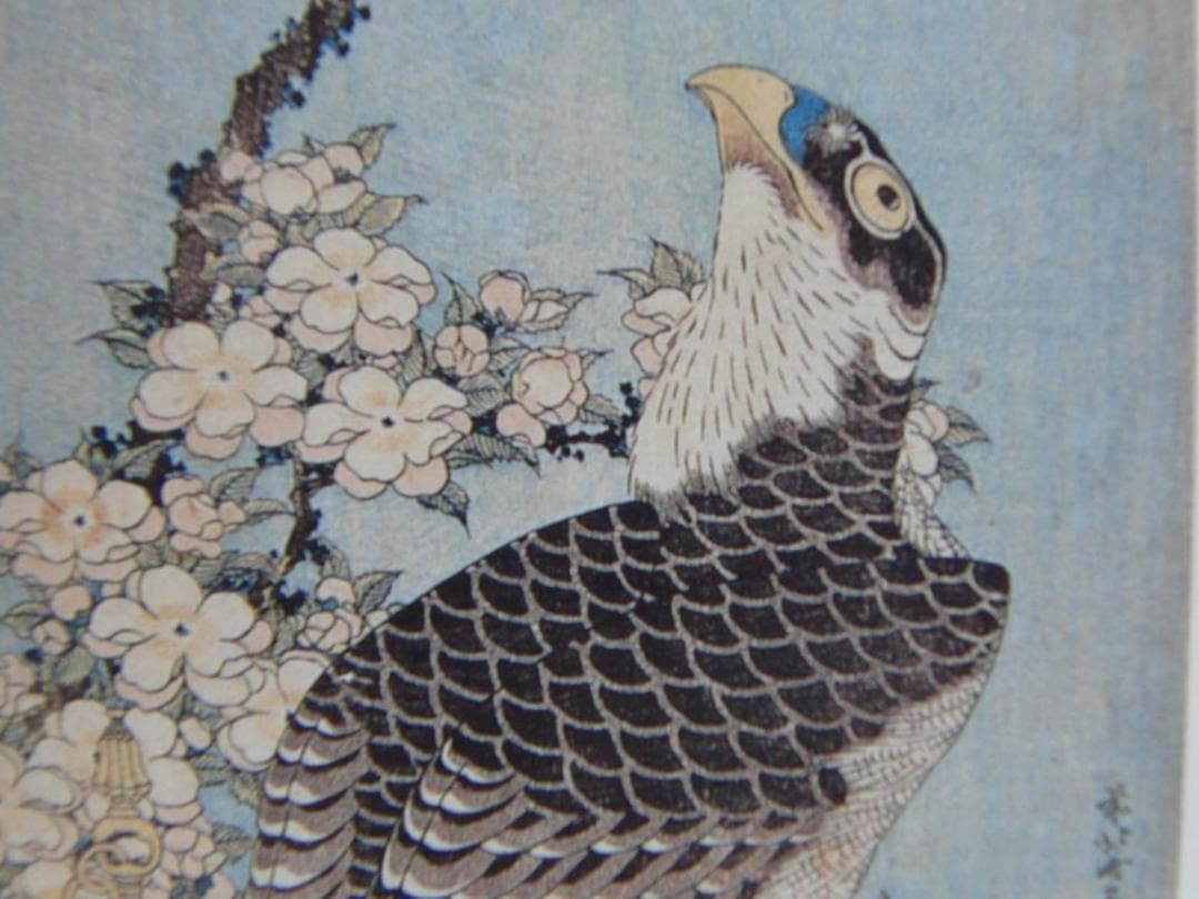 葛飾北斎、【桜花に鷹図】、希少画集画より、状態良好、新品高級額装付