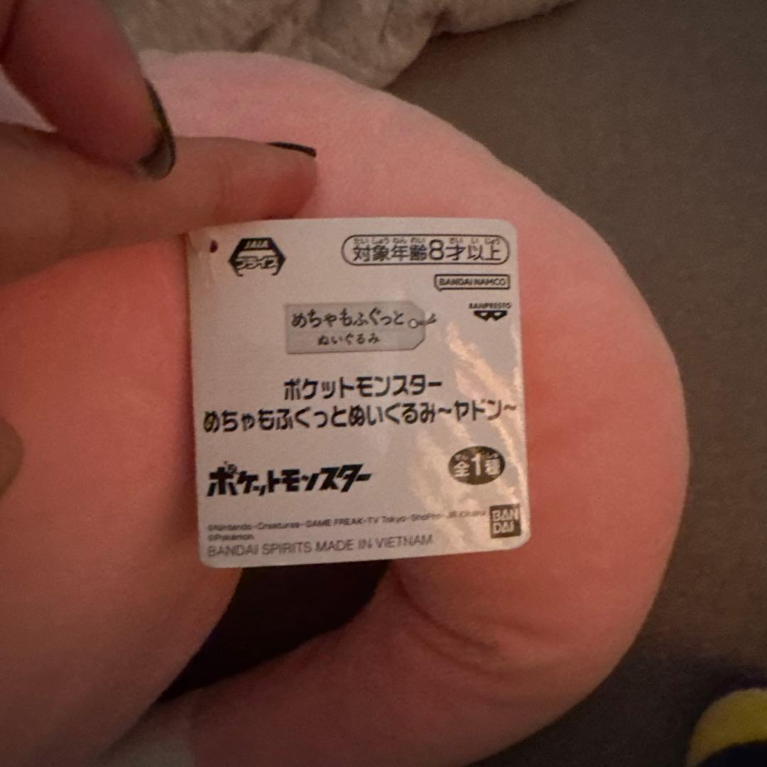 ポケットモンスター ポケモン　ぬいぐるみ ９個