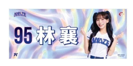 2026　WBC　95　林襄 リンシャン　応援　タオル 　応援　タオル