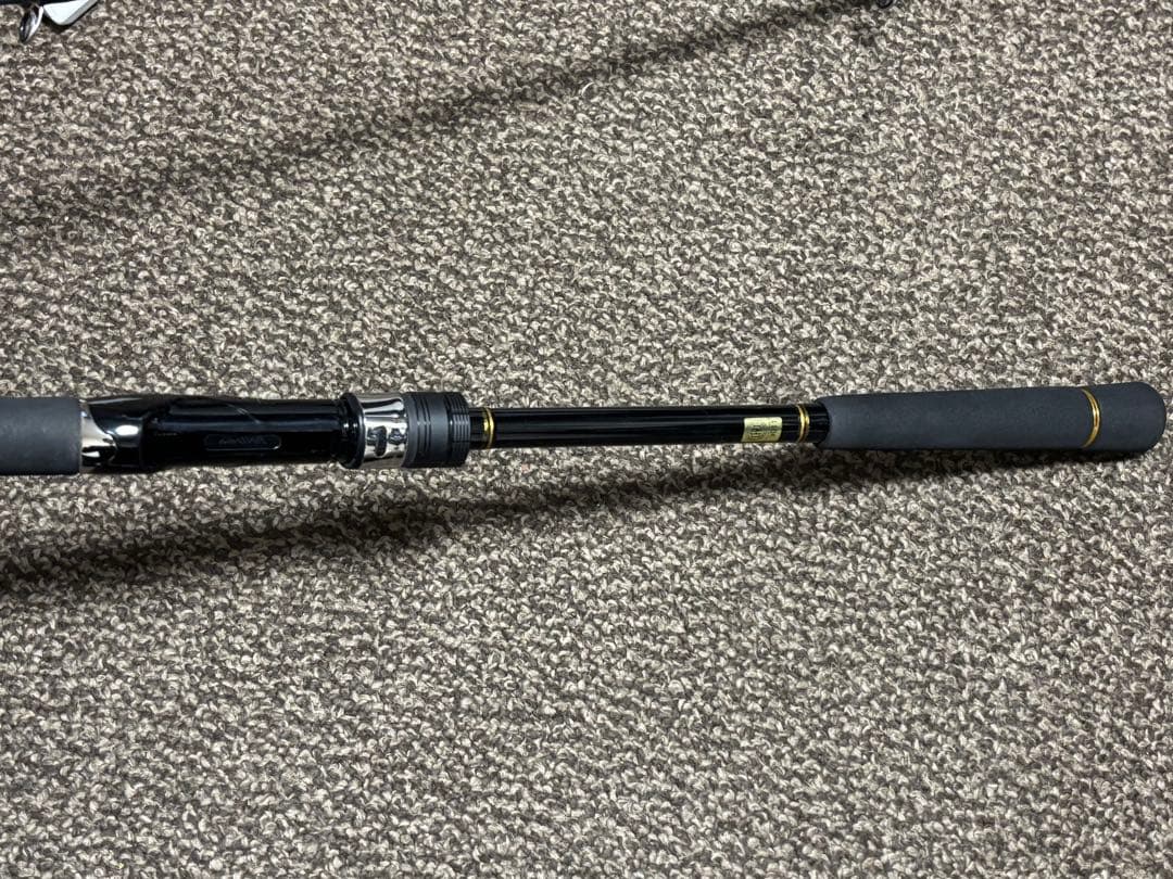 ダイワ 21シーバスハンター　X　96M