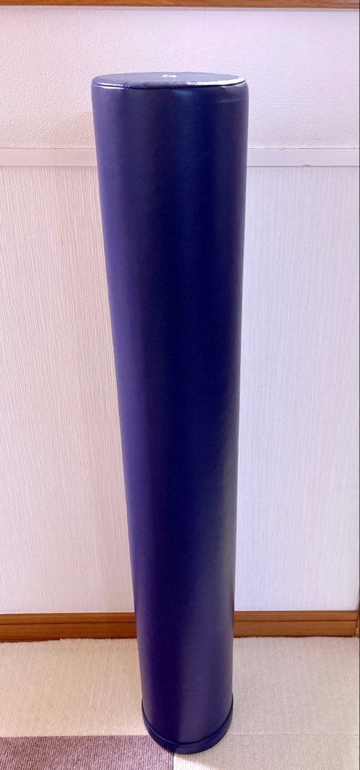 【美品】LPN StretchPole ストレッチポール EX ネイビー