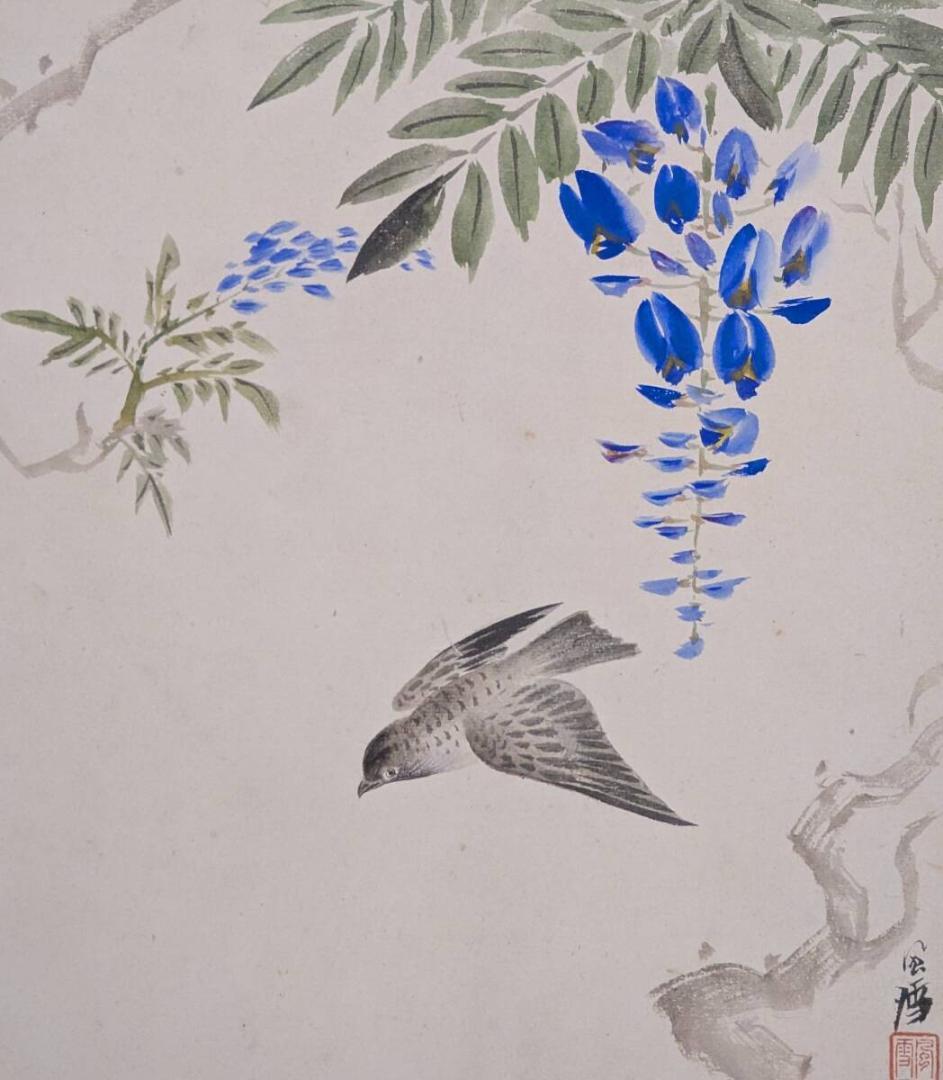 【真作】絵画　日本画（色紙）　藤に飛翔する鳥　雅趣あふれる花鳥画　Z55