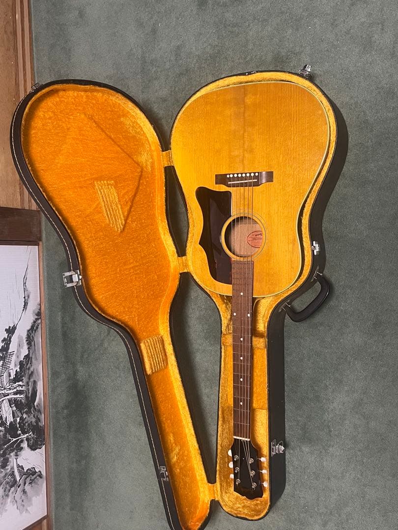 ギター Switch RSD-50