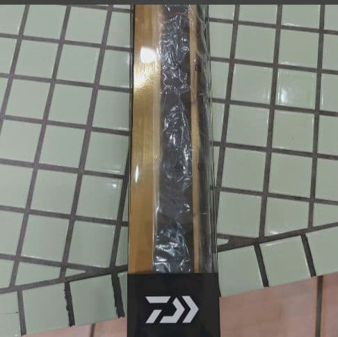 DAIWA 96MH ルアーニスト ライトショアジギング 釣り竿 ダイワ 釣具