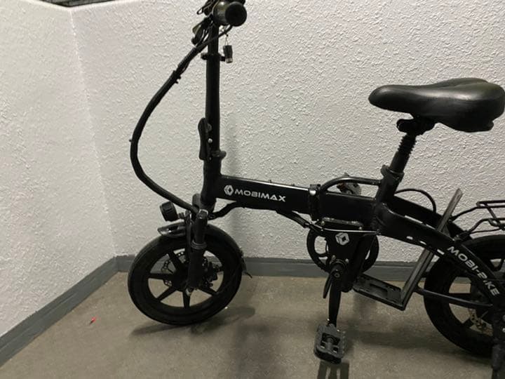 1個目に出品したモペット