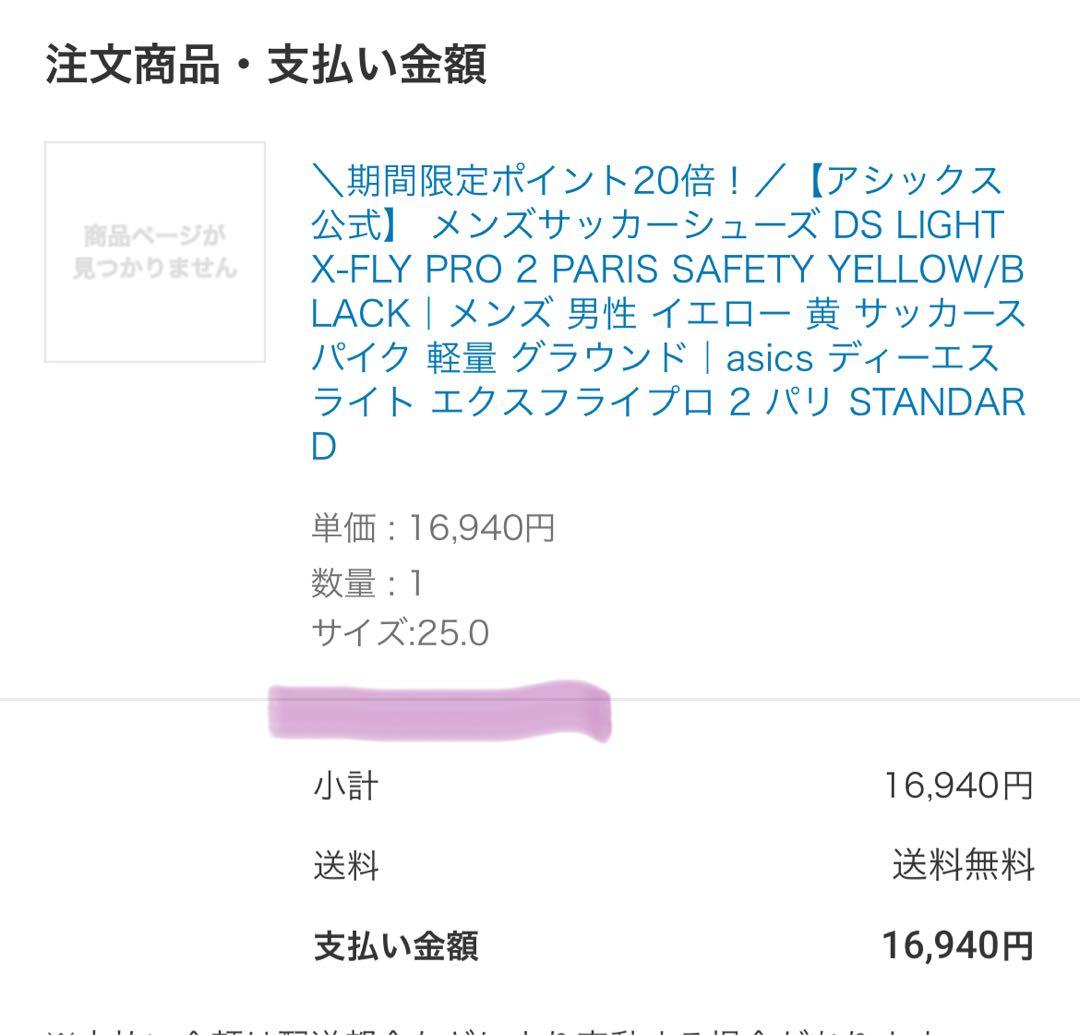 アシックス DS LIGHT X-FLY PRO 2 PARIS 25センチ