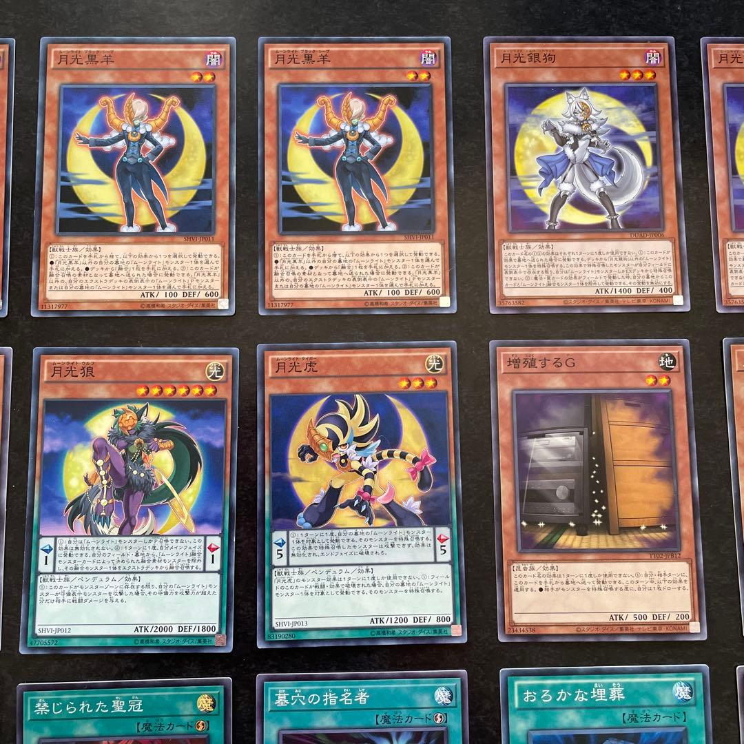 遊戯王デッキ　月光デッキ　ガチ構築　①