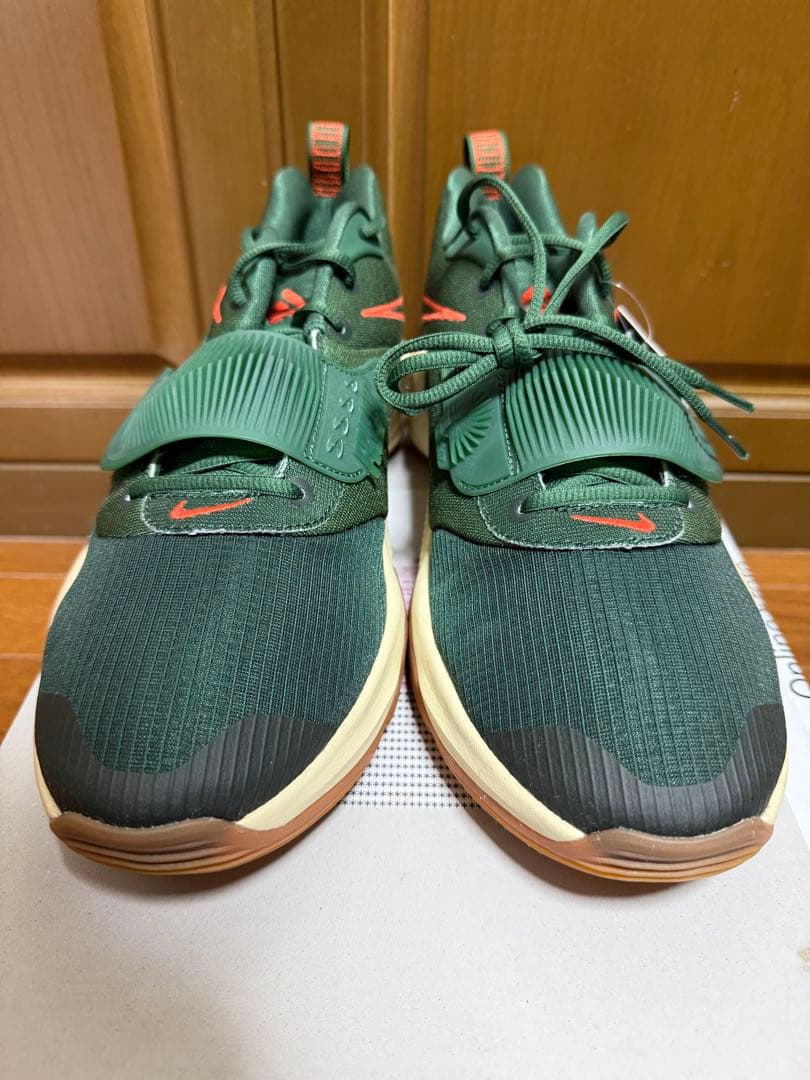 NIKE Zoom Freak3 バスケットボールシューズ グリーン