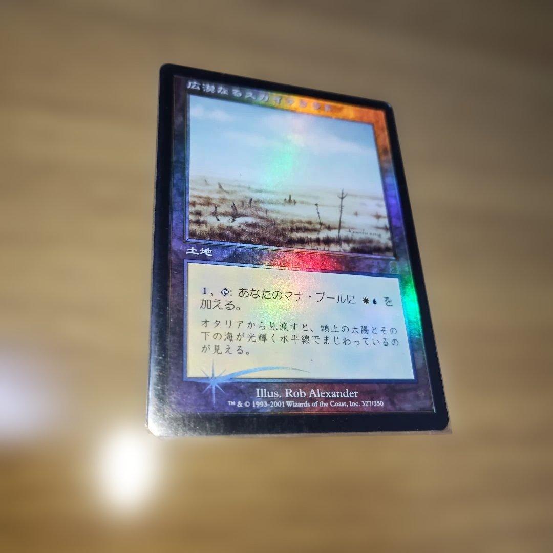 オデッセイのフィルターランド　日本語版　Foil　5枚セット
