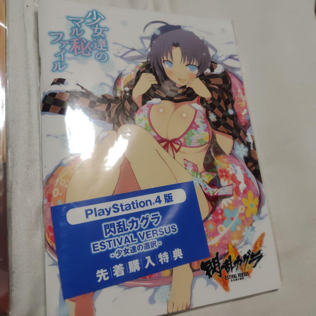 少女達のマル秘ファイル セット