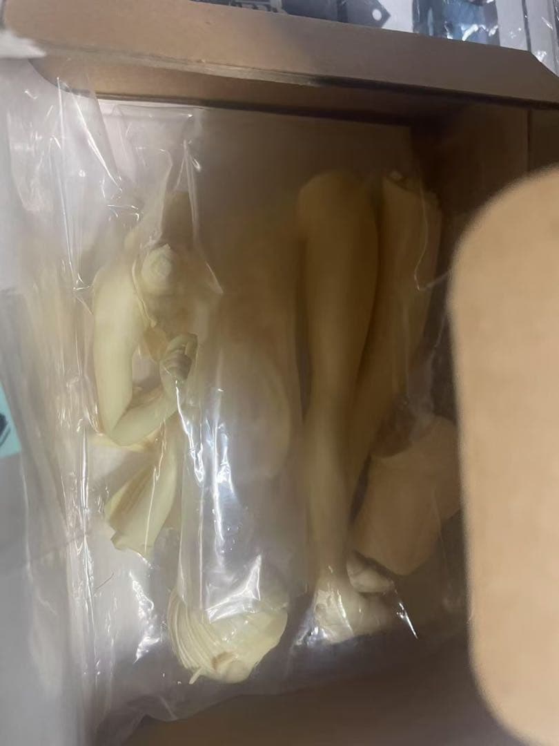 ガレージキット森原理音　水着　1/8　稲葉屋　うおなてれぴん レジンキャストキッ