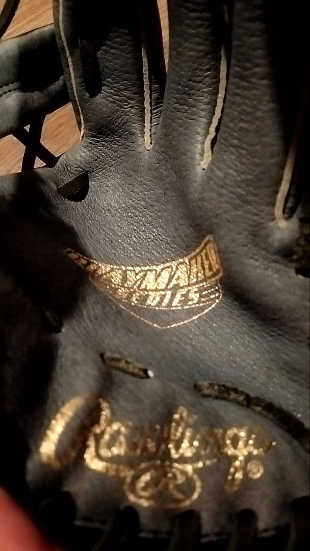 Rawlings ローリングス 野球グローブ 　大人用と子供用の2個セット