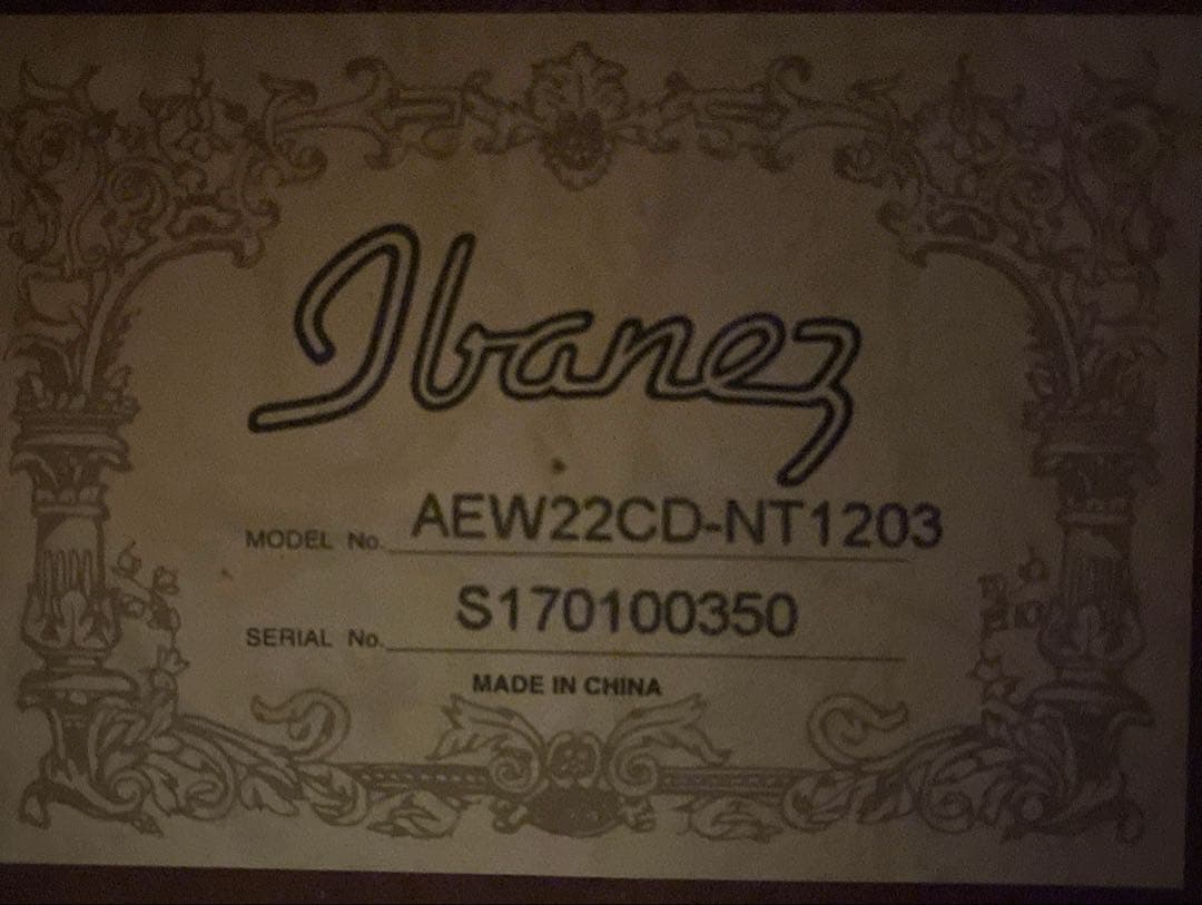 ibanez aew22cd エレアコ ギター