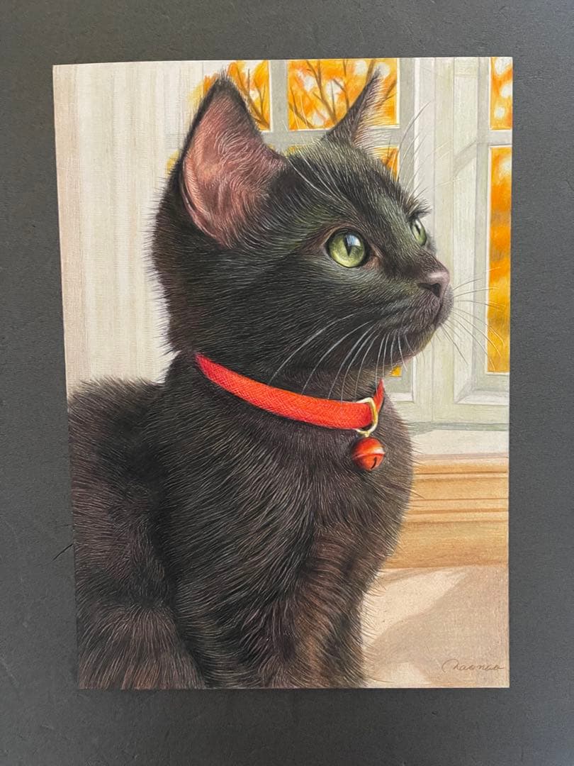 色鉛筆画.A4.黒猫.53