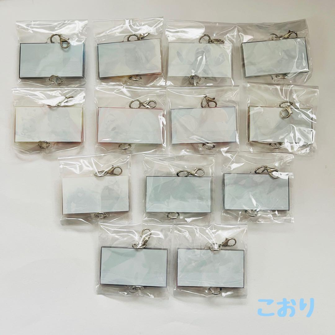 アニポケ特製アクリルチャーム