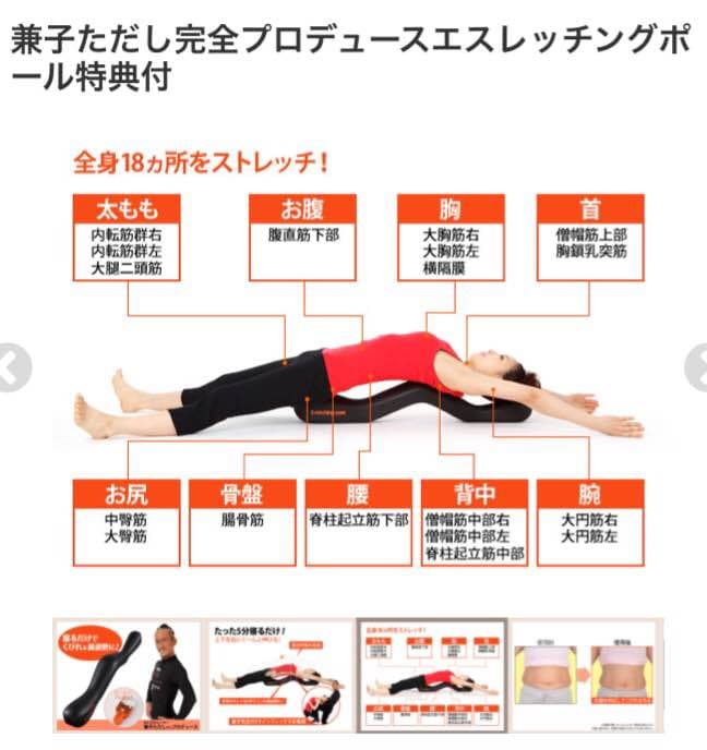 エスレッチングポール  美品
