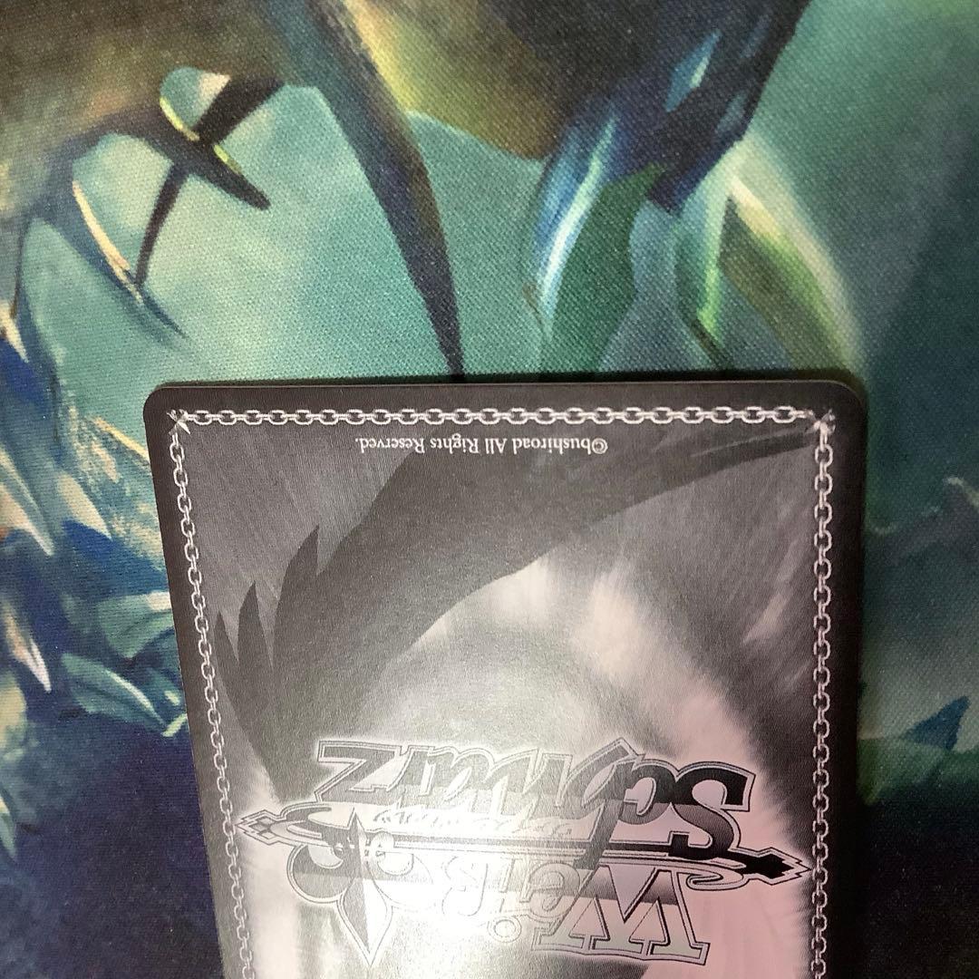 ヴァイスシュヴァルツ　“白い稲妻”タマモクロス SSP サイン