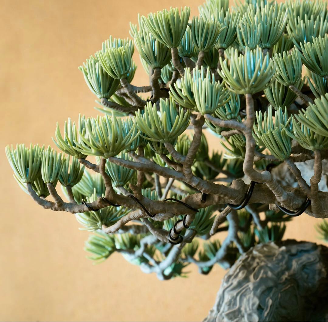 その他 NEIGHBORHOOD Bonsai Model Kit